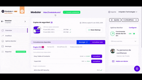 Modular Update January 2023 Errors