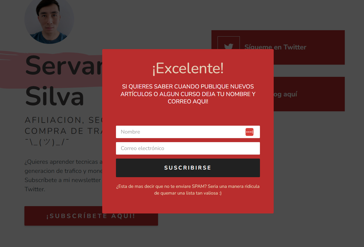 trafico avanzado mejores newsletters seo espanol