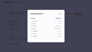 Backup restoration Modular DS