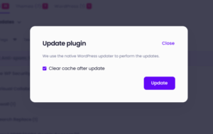 Plugin update screen in Modular DS showing new option to enable automatic cache clearing.