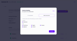 Modular DS backup restoration screen with partial restoration options selected.
